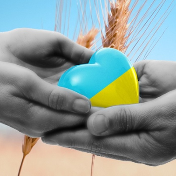 04_700x700_crop_478b24840a